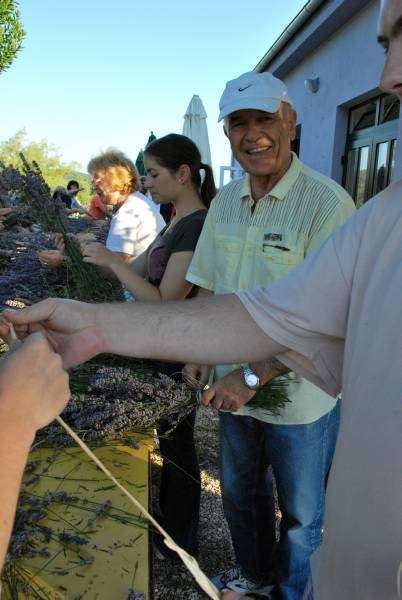 Berba Lavande - UMJETNOST DOBROBITI - 