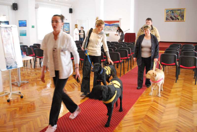 Mak, Xanta i Hachi....malo osvježenja u ovom hladnom dobu godine kad je samo zaljubljenima toplo oko srca - 