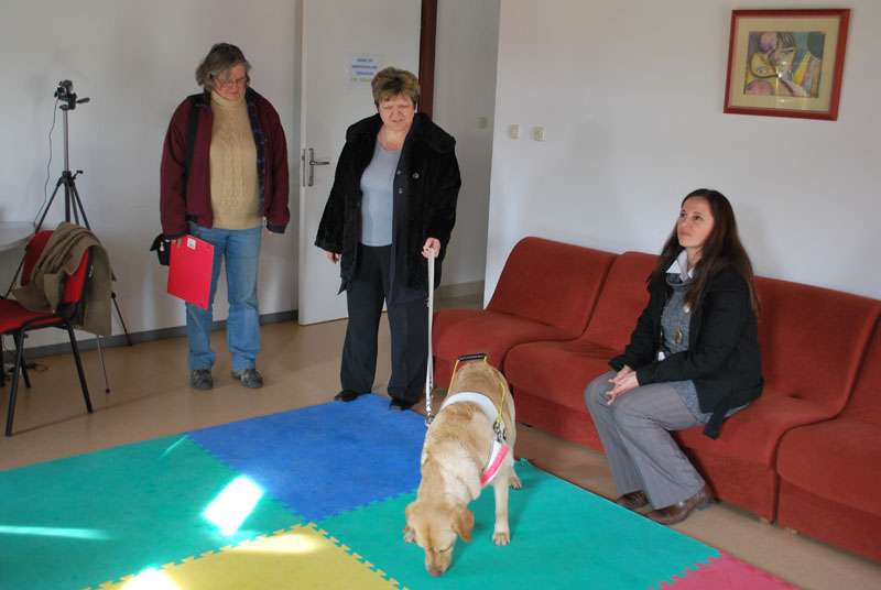 Mak, Xanta i Hachi....malo osvježenja u ovom hladnom dobu godine kad je samo zaljubljenima toplo oko srca - 