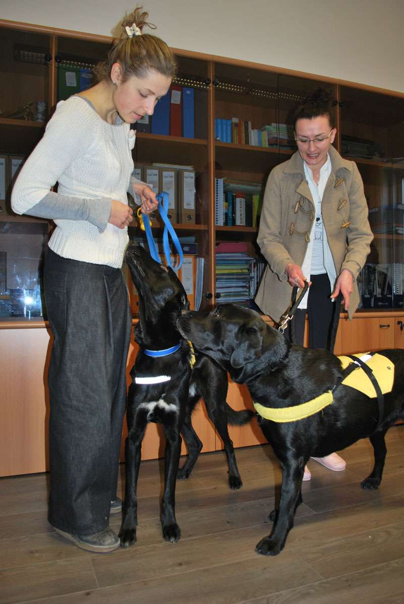 Mak, Xanta i Hachi....malo osvježenja u ovom hladnom dobu godine kad je samo zaljubljenima toplo oko srca - 