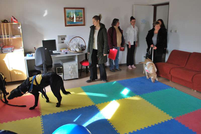 Mak, Xanta i Hachi....malo osvježenja u ovom hladnom dobu godine kad je samo zaljubljenima toplo oko srca - 