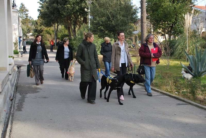 Mak, Xanta i Hachi....malo osvježenja u ovom hladnom dobu godine kad je samo zaljubljenima toplo oko srca - 