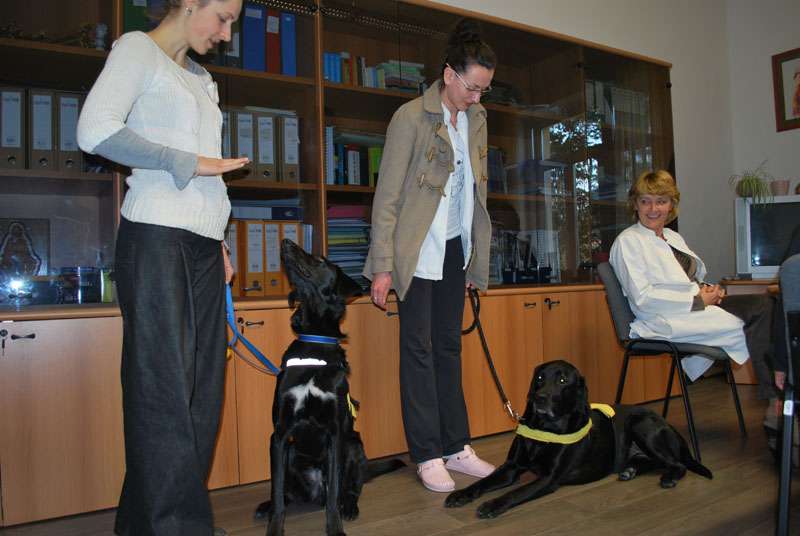Mak, Xanta i Hachi....malo osvježenja u ovom hladnom dobu godine kad je samo zaljubljenima toplo oko srca - 