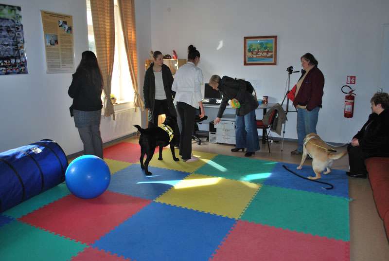 Mak, Xanta i Hachi....malo osvježenja u ovom hladnom dobu godine kad je samo zaljubljenima toplo oko srca - 
