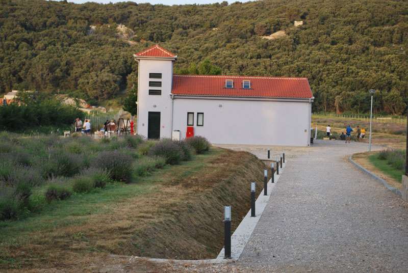 Berba Lavande - Lavanda alive 2012. - 