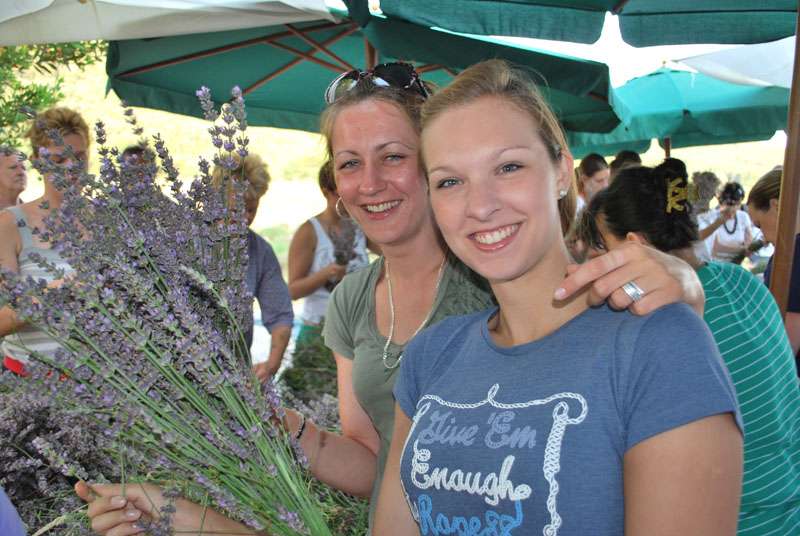 Berba Lavande - Lavanda alive 2012. - 