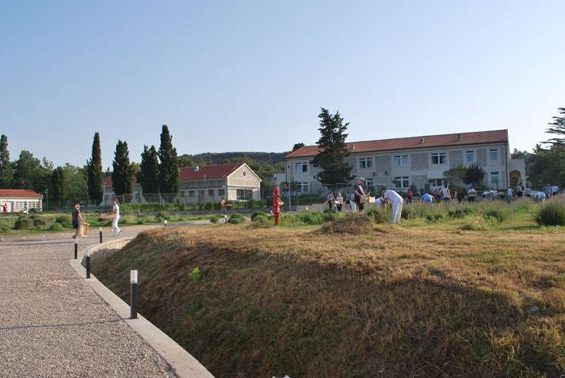 Berba Lavande - Lavanda alive 2012. - 