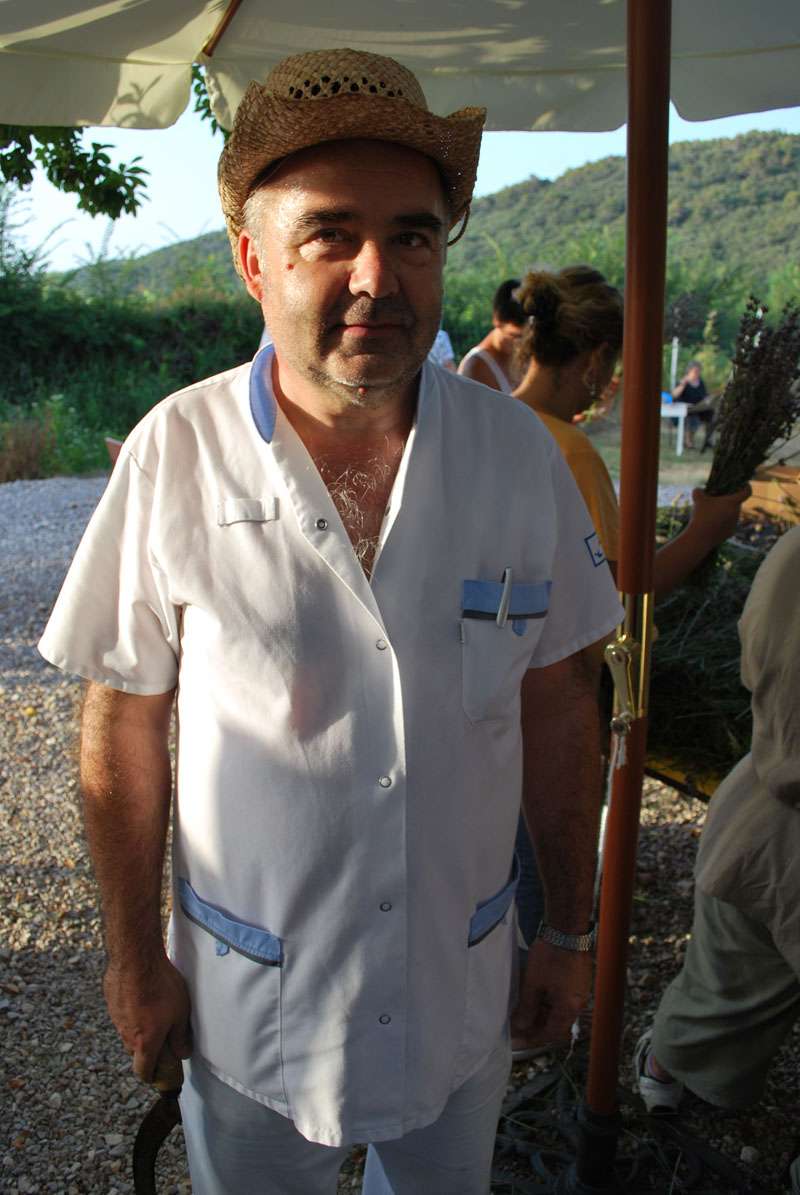 Berba Lavande - Lavanda alive 2012. - 