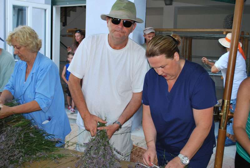 Berba Lavande - Lavanda alive 2012. - 