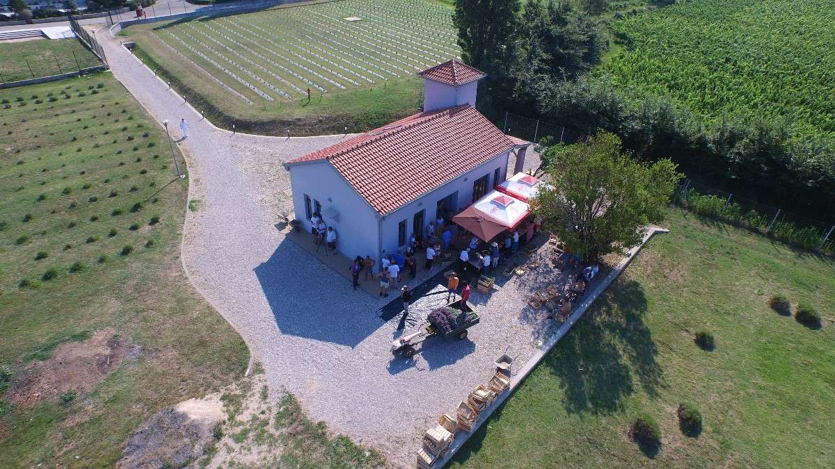 BERBA LAVANDE “Umjetnost dobrobiti” - 