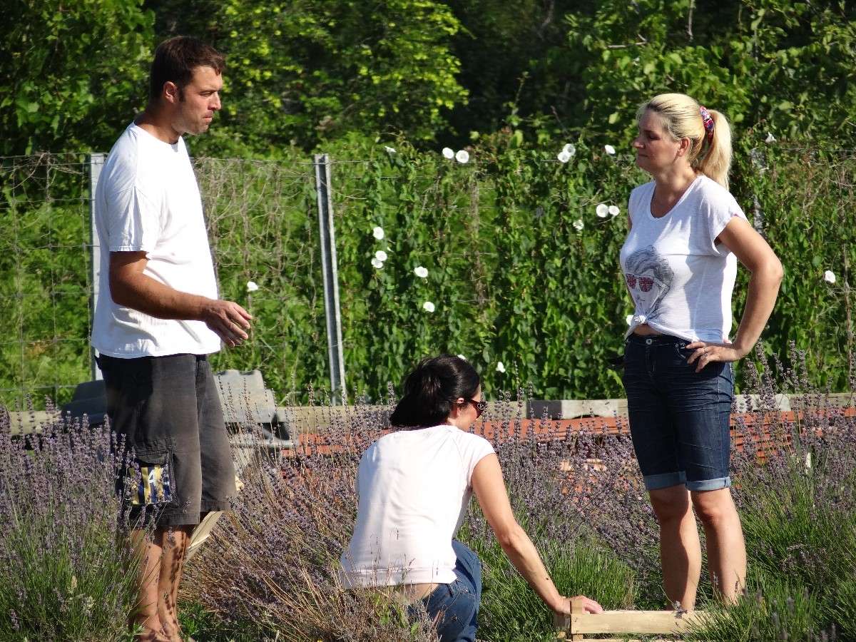 BERBA LAVANDE “Umjetnost dobrobiti” - 