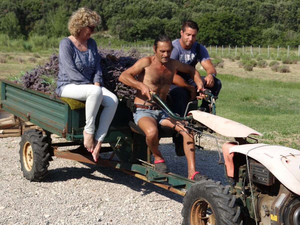 BERBA LAVANDE “Umjetnost dobrobiti” - 