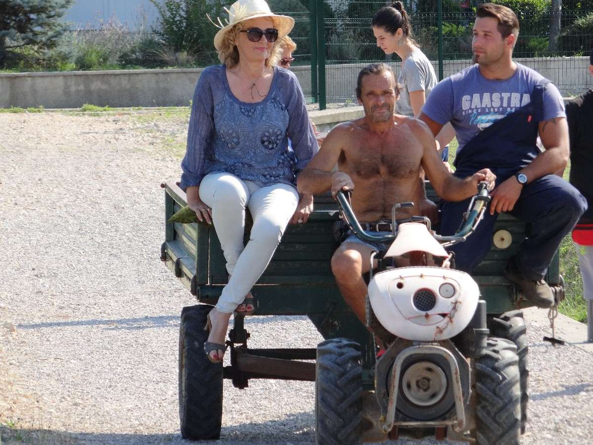 BERBA LAVANDE “Umjetnost dobrobiti” - 