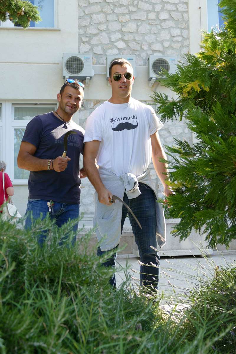 Berba Lavande 2018 - 