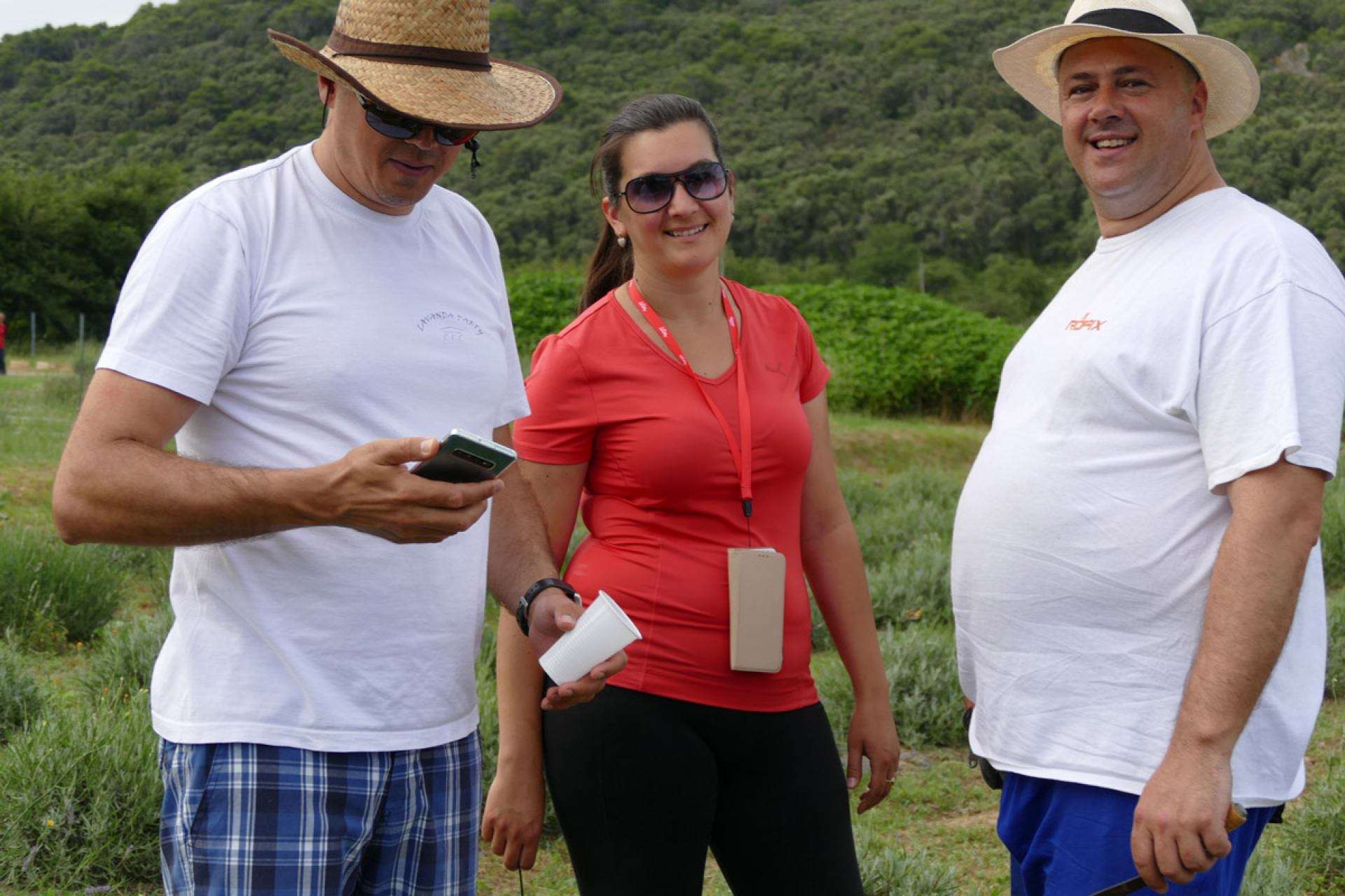 Berba lavande 2019 - 