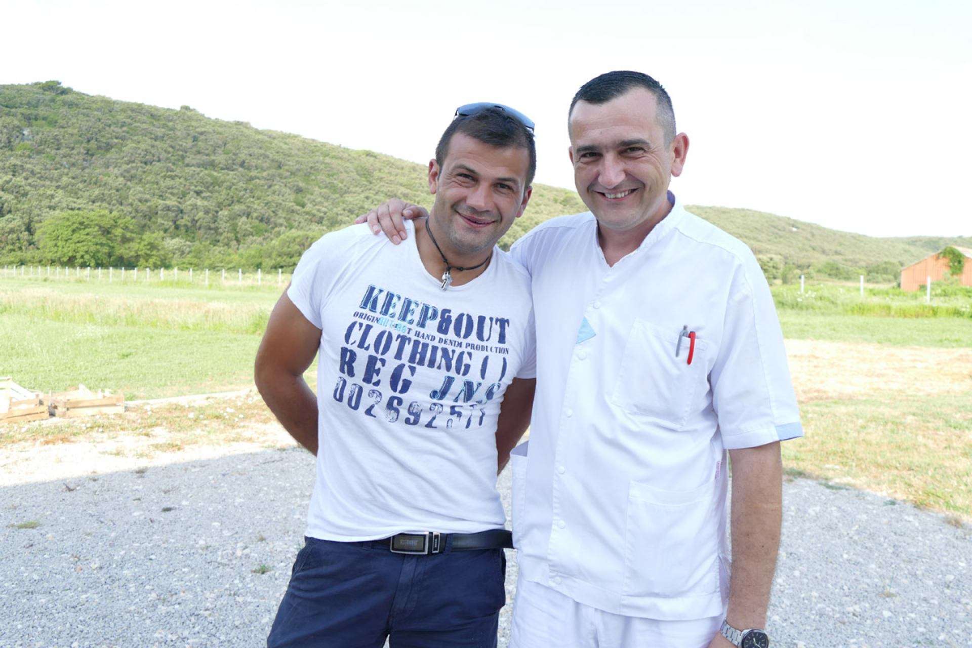 Berba lavande 2019 - 