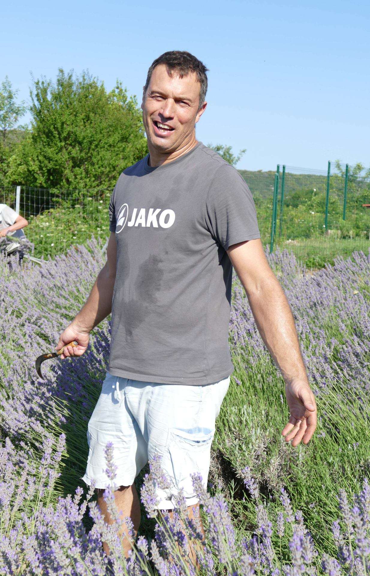 Berba lavande 2022. - 