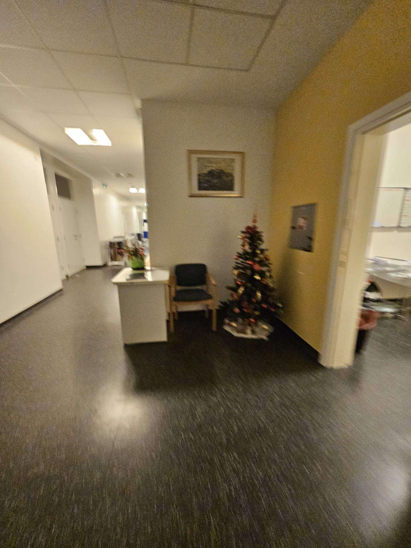 Blagdanski ugođaj u ŽSB Insula - 