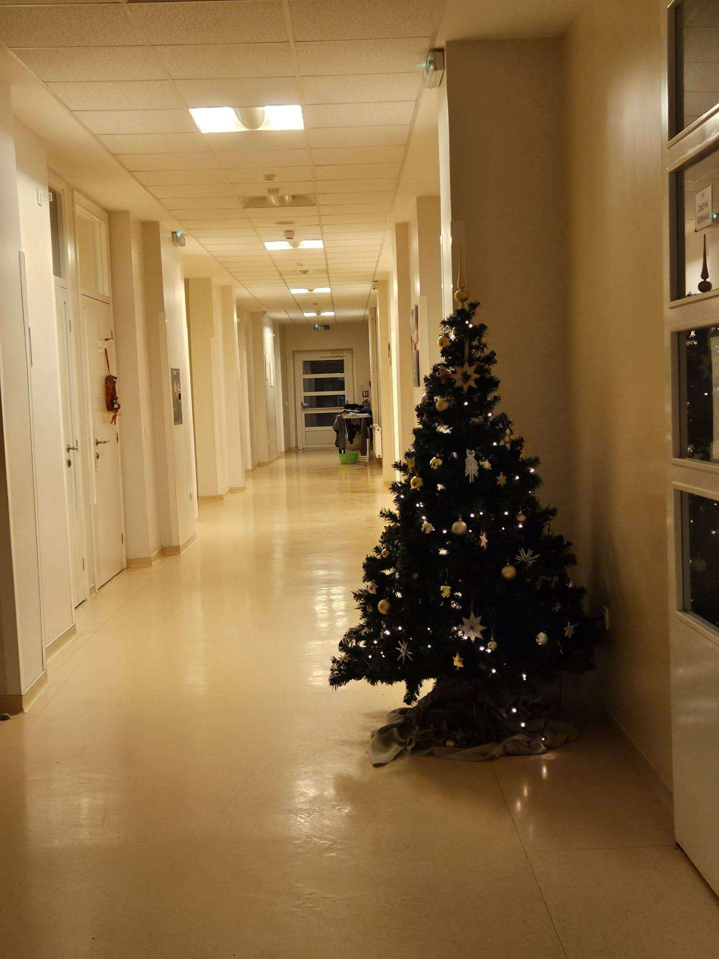 Blagdanski ugođaj u ŽSB Insula - 