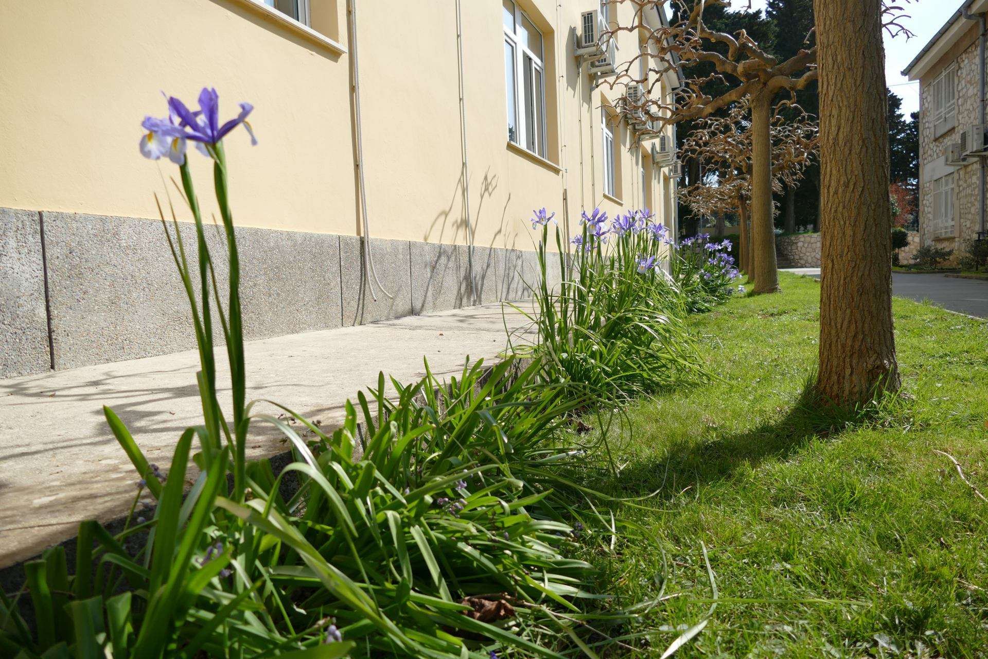 Prvi dan proljeća 2024. - 