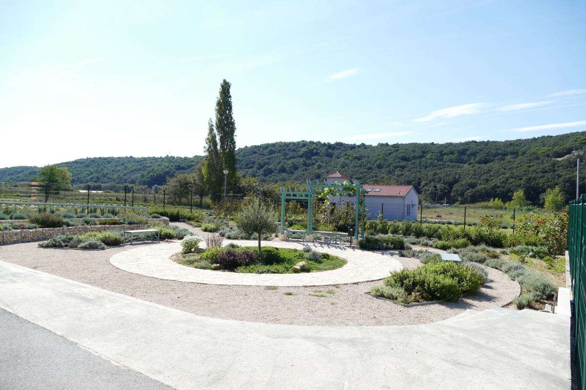 Aron u vrtu - 