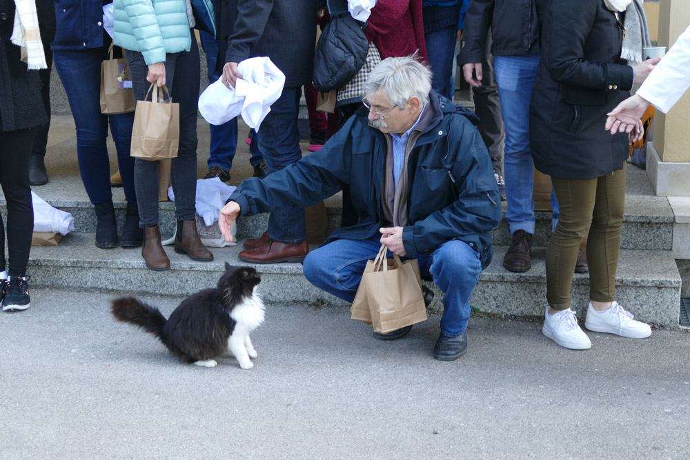 Nastava iz psihijatrije za studente Medicinskog fakulteta Sveučilišta - 