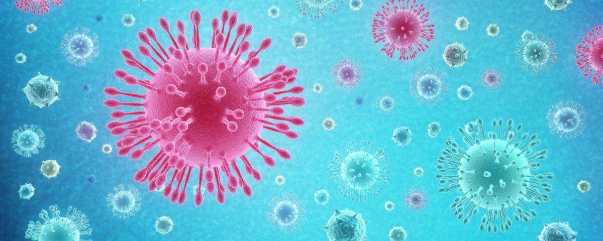 Koronavirus - korisne informacije