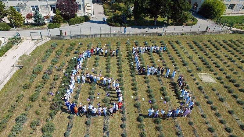 Psihijatrijska bolnica Rab - 65 godina rada