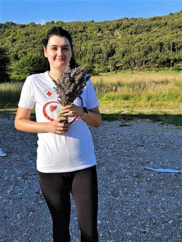 17. Tradicionalna berba lavande - 