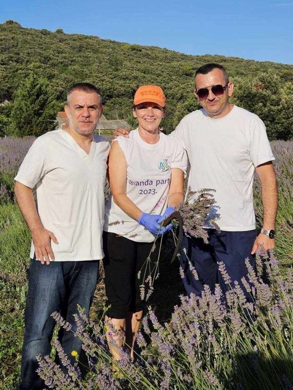 17. Tradicionalna berba lavande - 
