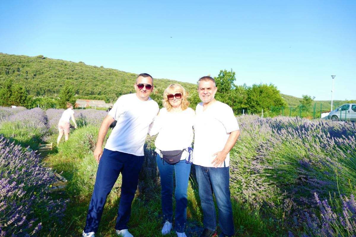 17. Tradicionalna berba lavande - 