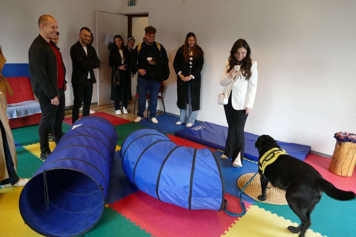 Studentski kongres neuroznanosti NEURI - 