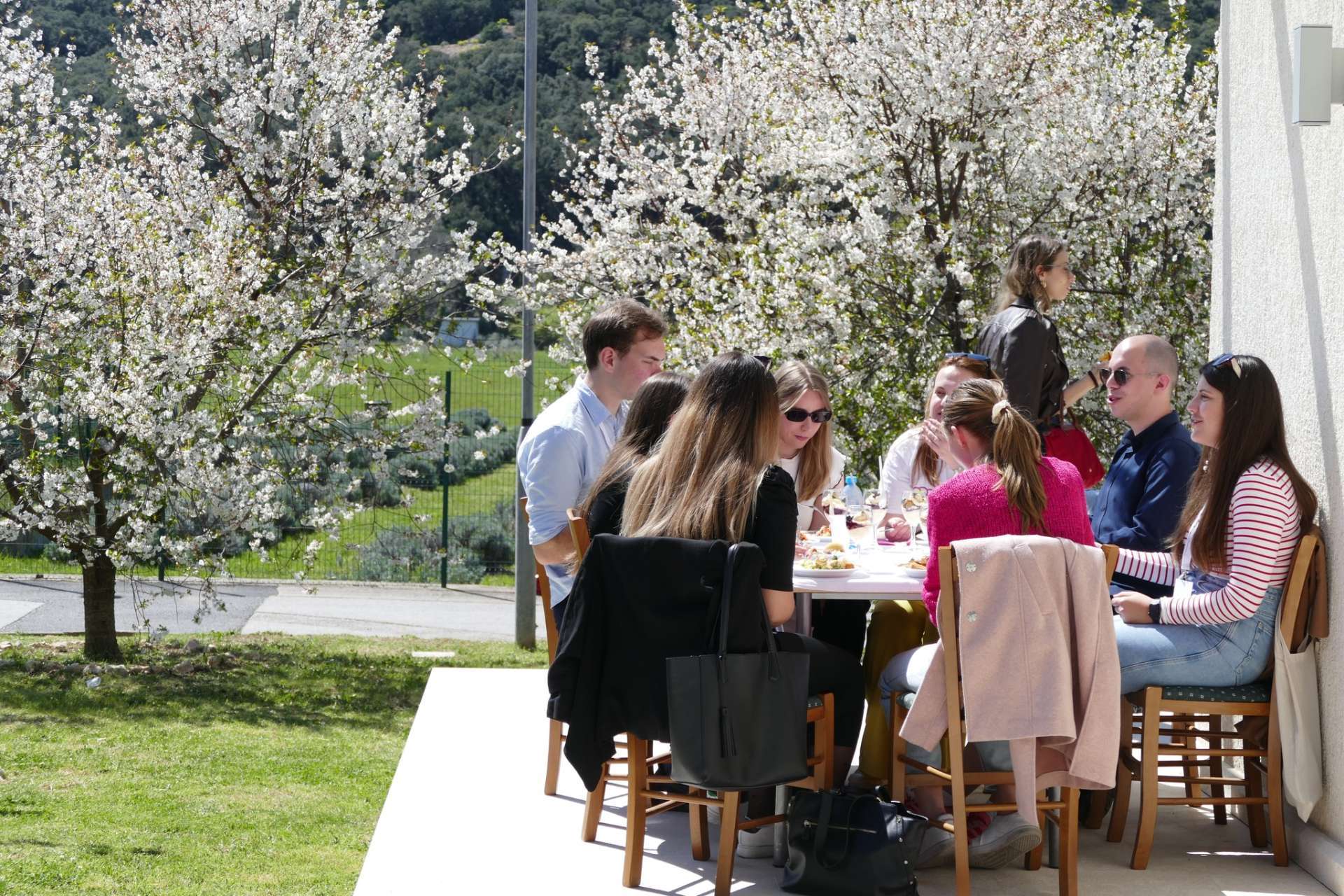 14. Studentski kongres neuroznanosti NeuRi - 
