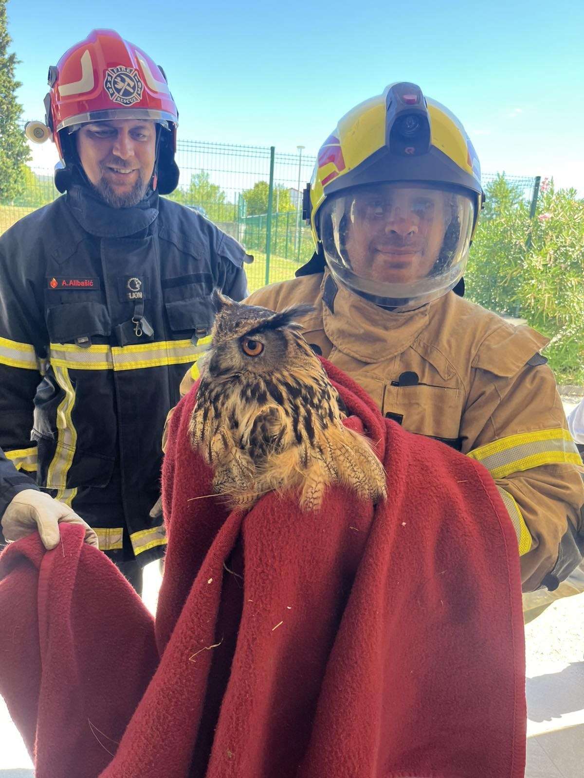 Još jedna lijepa priča iz bolničkog vrta 🌿🦉 - 