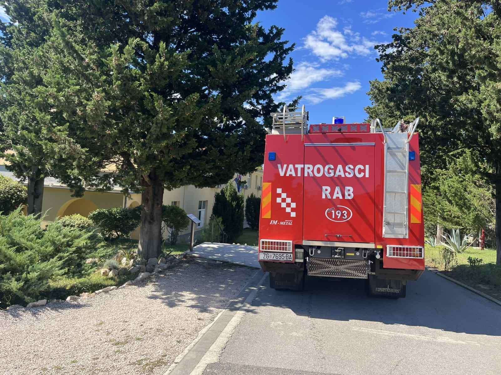 Još jedna lijepa priča iz bolničkog vrta 🌿🦉 - 