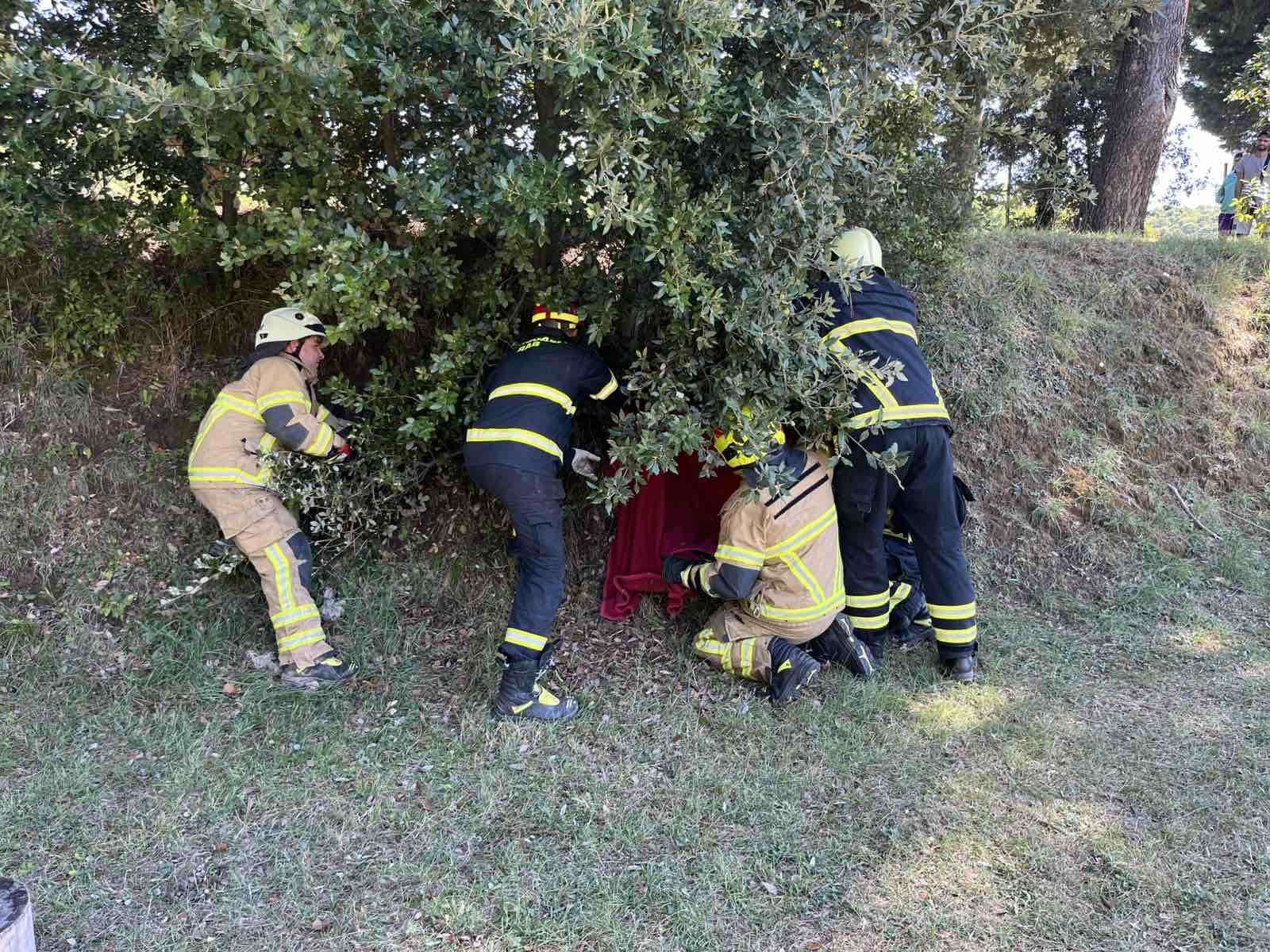Još jedna lijepa priča iz bolničkog vrta 🌿🦉 - 