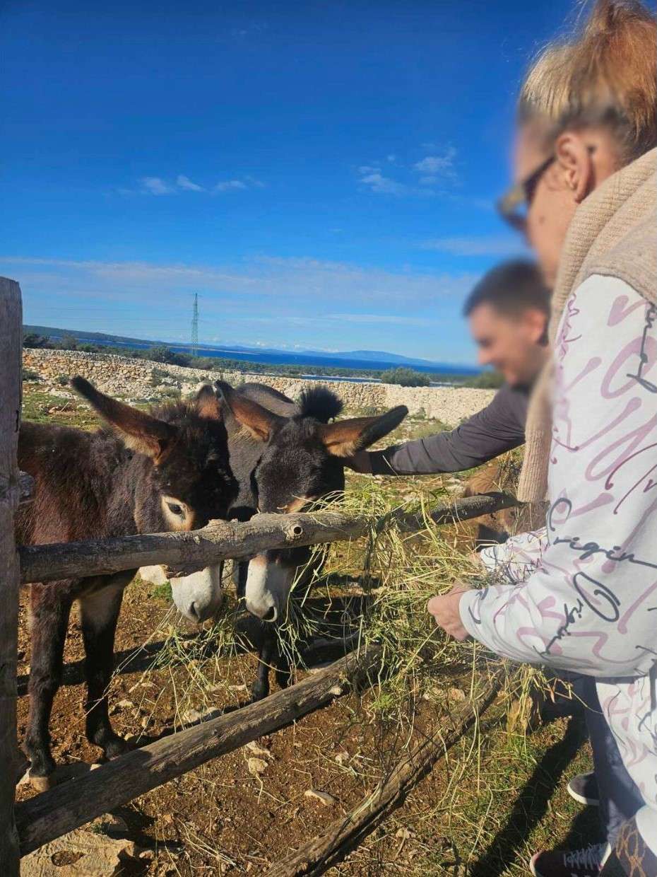 Svjetski dan zaštite životinja