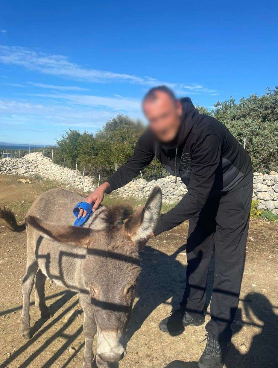 Svjetski dan zaštite životinja - 
