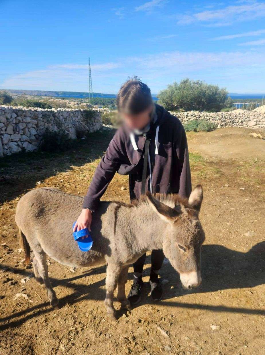 Svjetski dan zaštite životinja - 