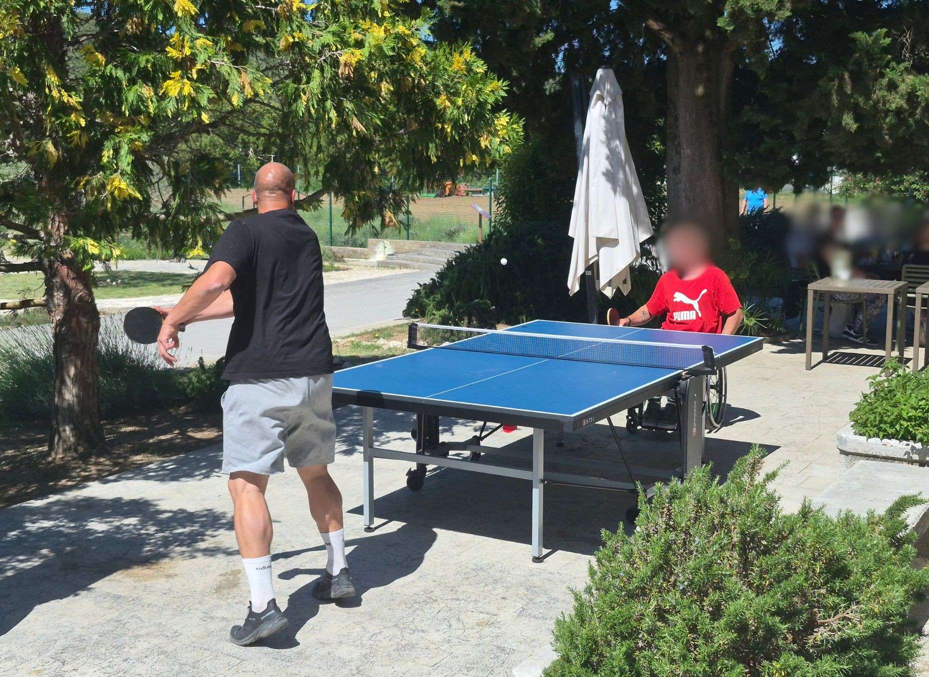 Dan sporta i rekreacije - 